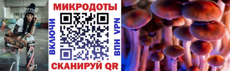 Псилоцибиновые грибы GOLDEN TEACHER  дарнет шоп  Оленегорск 